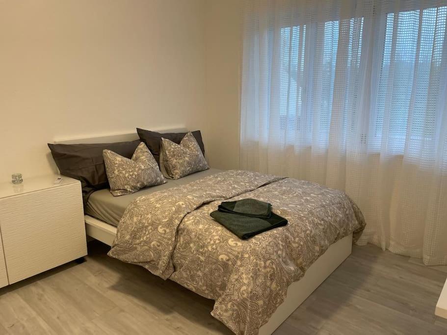 Studio In Neuem Efh Elsau ภายนอก รูปภาพ